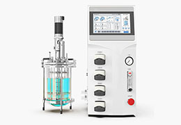 实验室发酵罐(玻璃)