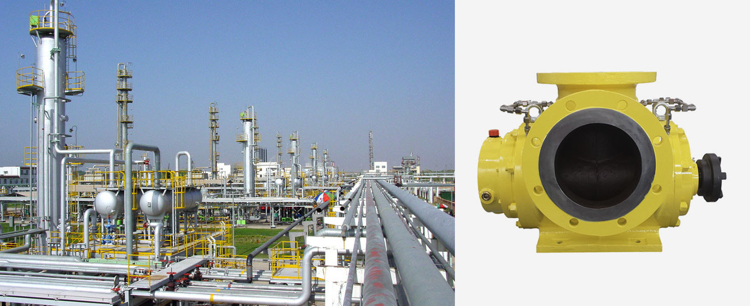 双螺杆泵在石油和天然气上的应用
